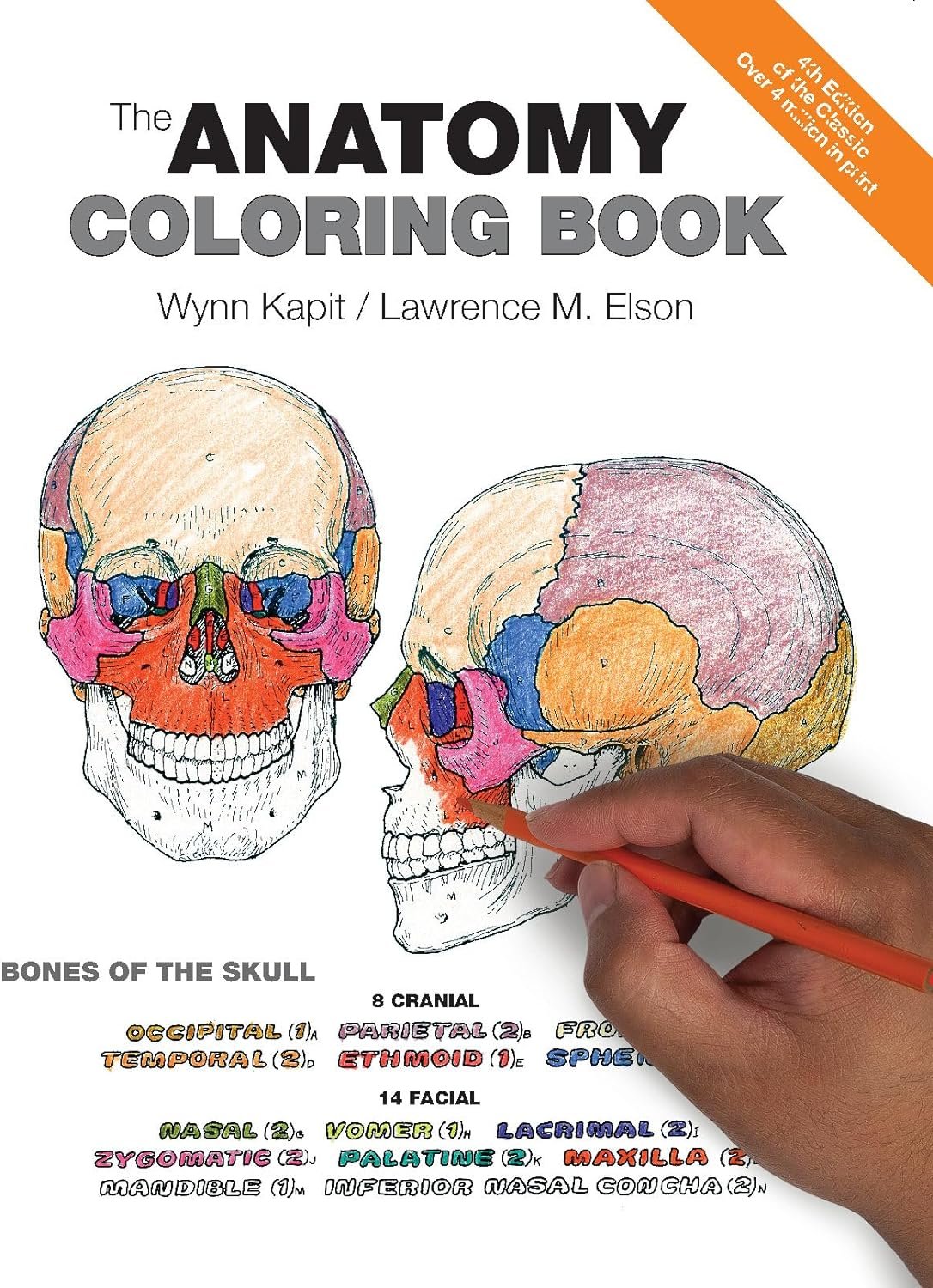 The Anatomy Coloring Book Review