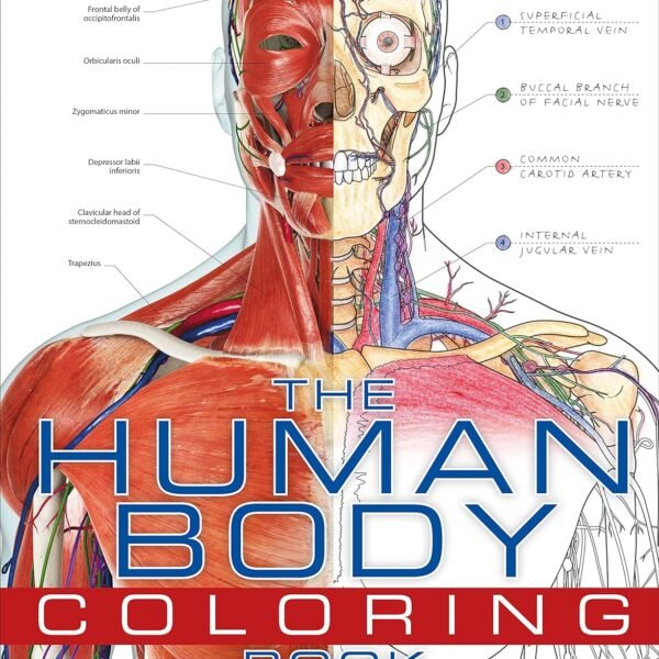 The Human Body Coloring Book Review