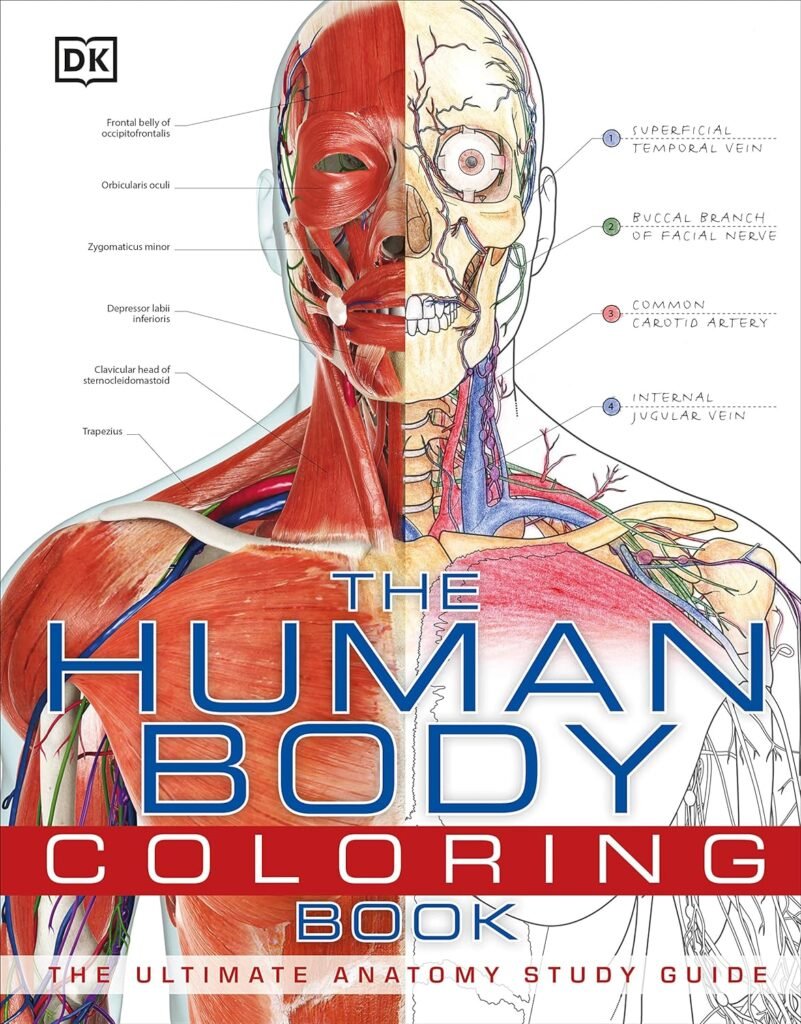 The Human Body Coloring Book: The Ultimate Anatomy Study Guide (DK Human Body Guides)     Paperback – Coloring Book, August 15, 2011